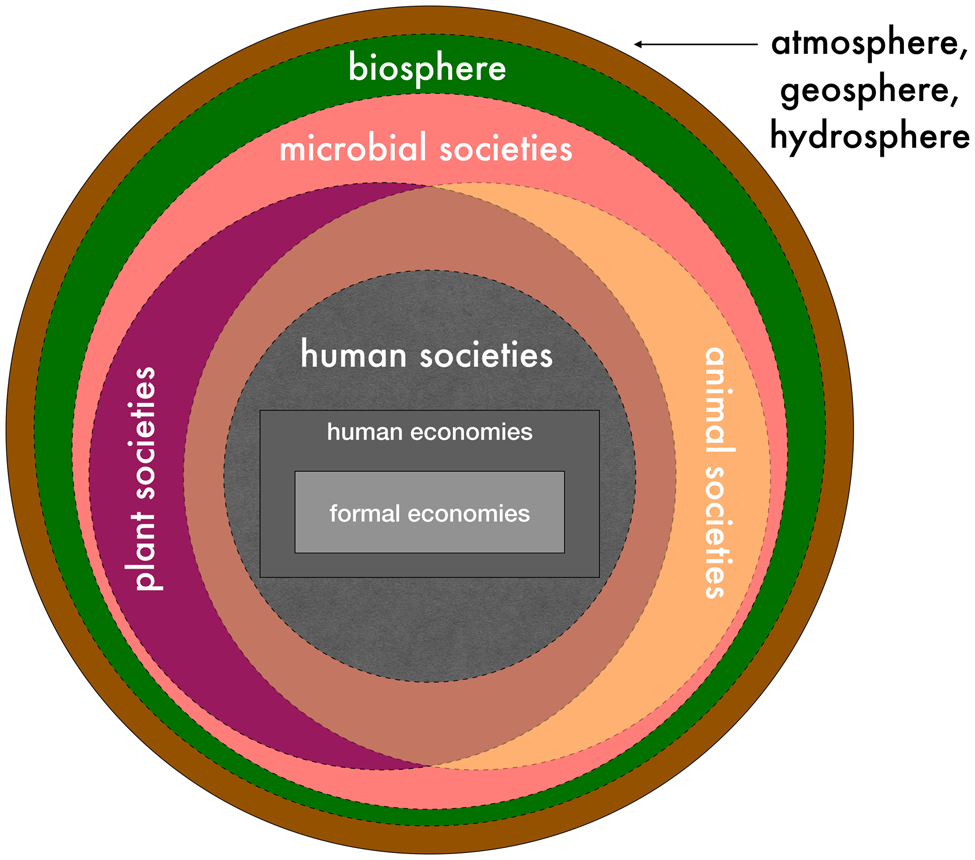 Multispecies Cities