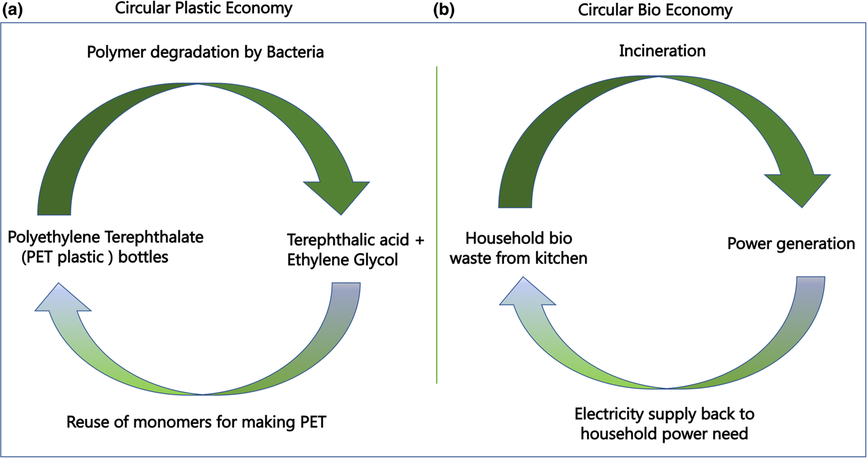 Rise of the sustainable circular economy platform from waste