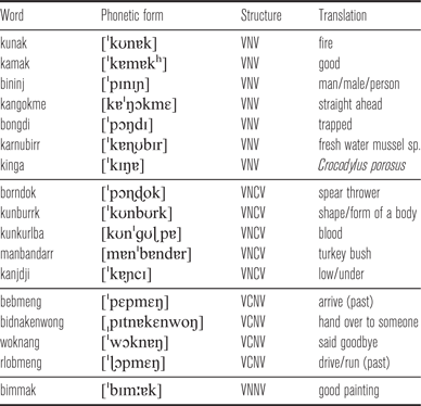 The aerodynamics of nasalization in French