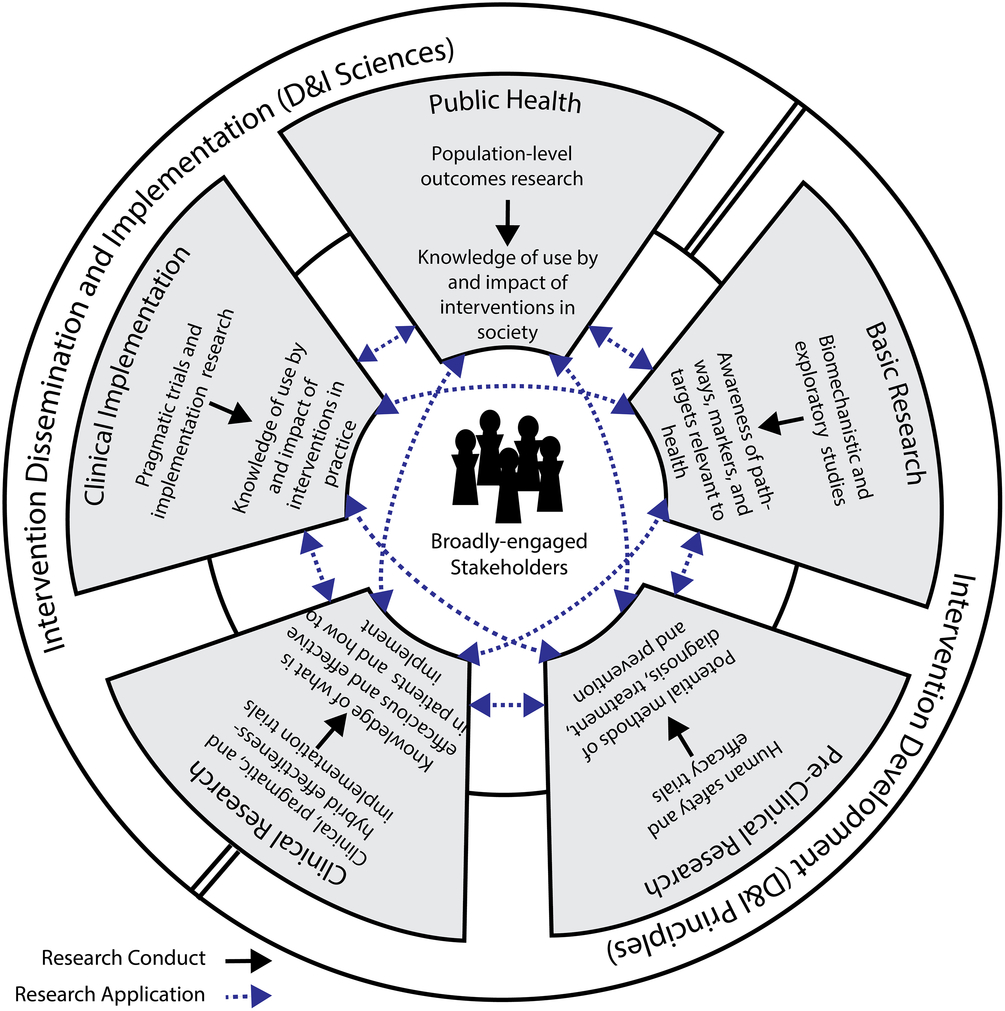 Situating dissemination and implementation sciences within and across ...