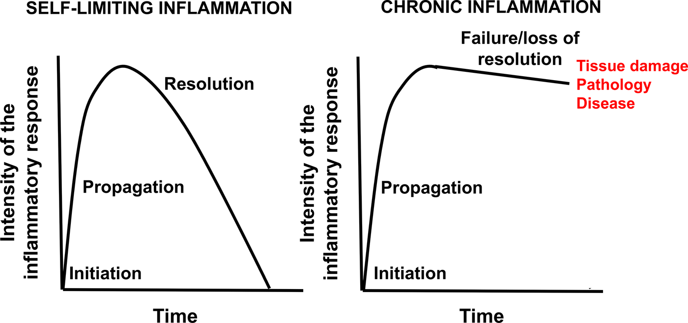 n 3 PUFA and inflammation from membrane to nucleus and from bench