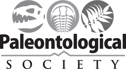 Functional Micromorphology Of The Echinoderm Skeleton