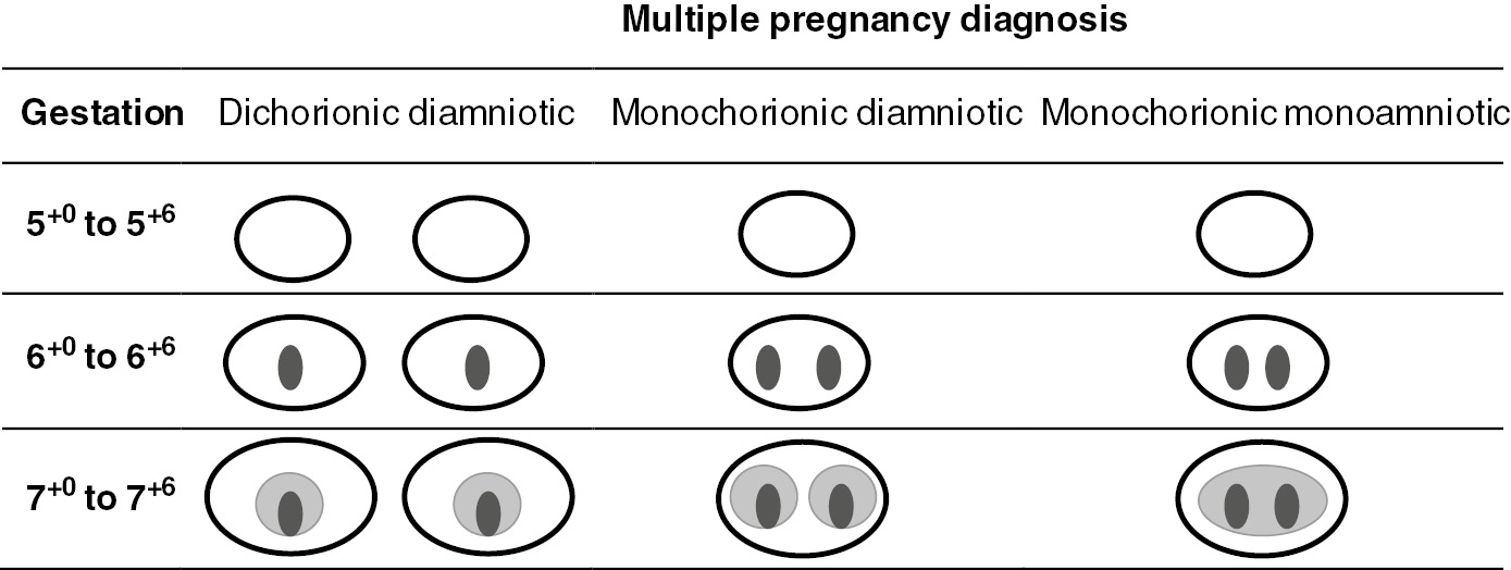 The Normal Early Intrauterine Pregnancy 411 Weeks Chapter 2 Early Pregnancy Ultrasound 