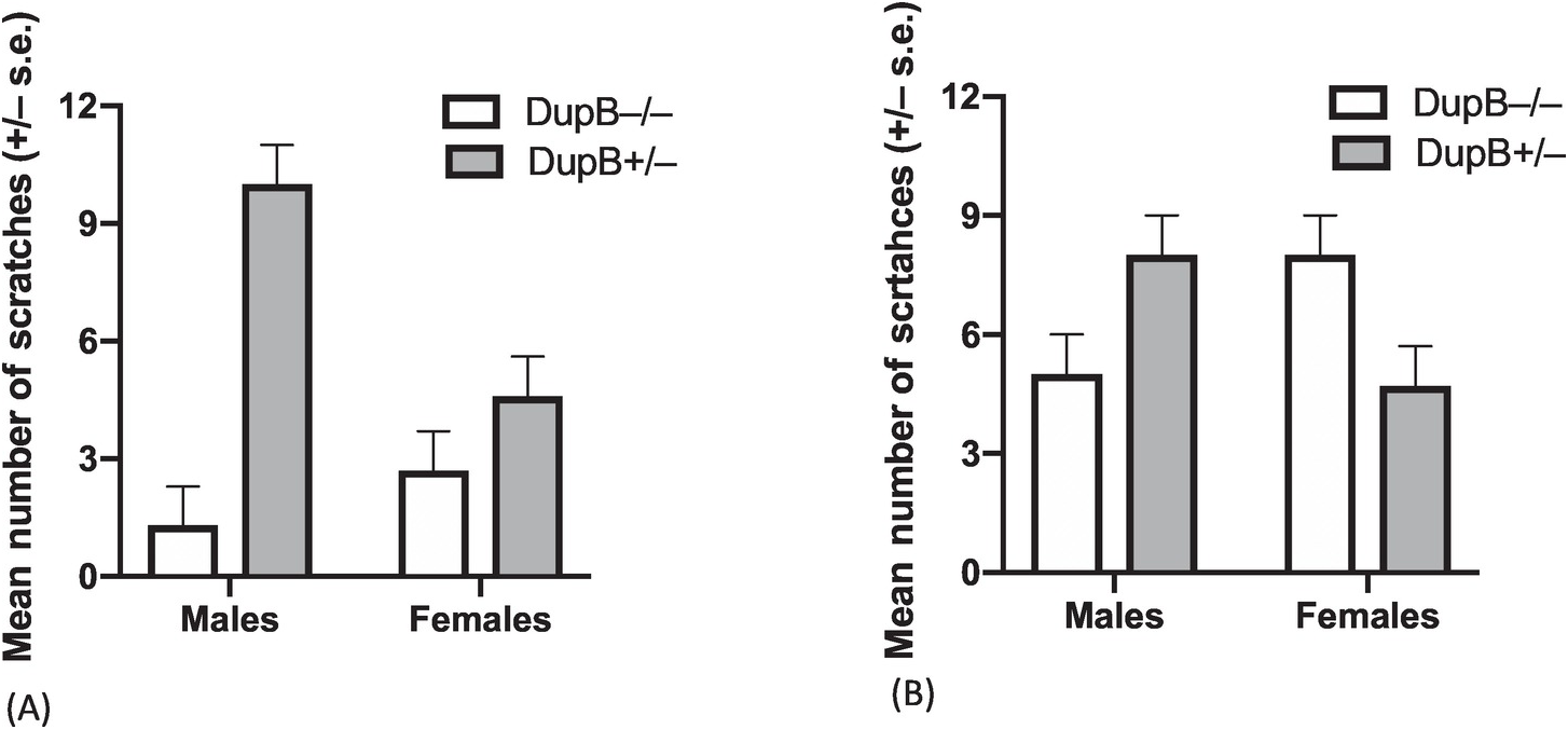 Role Of Oxytocin And Vasopressin V1a Receptor Variation On Personality Social Behavior Social Cognition And The Brain In Nonhuman Primates With A Specific Emphasis On Chimpanzees Chapter 7 Cooperation And Conflict