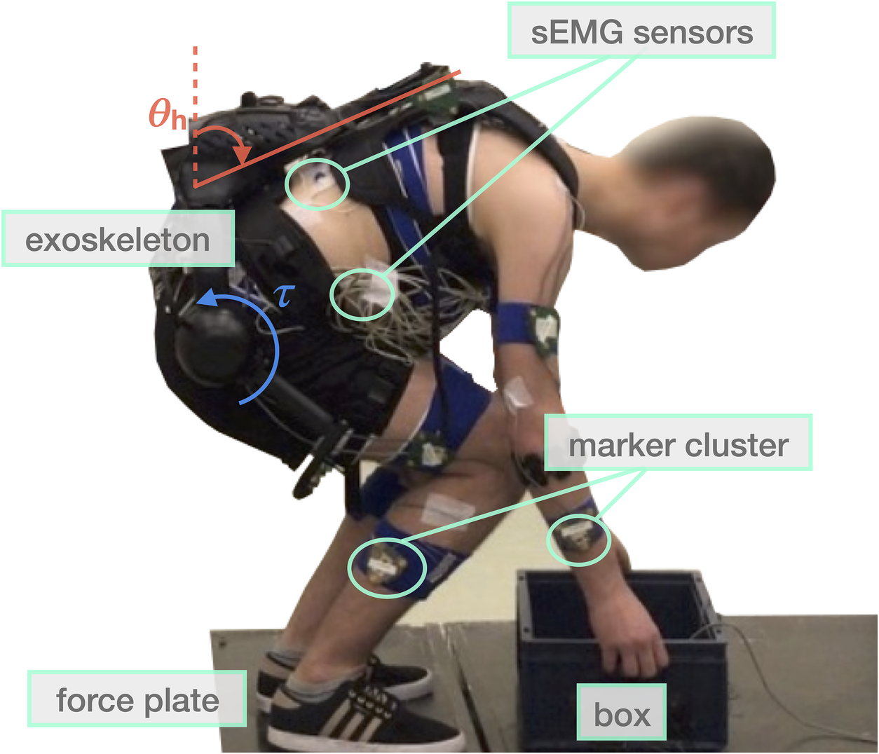 Design methodology of an active back-support exoskeleton with adaptable  backbone-based kinematics - ScienceDirect, backbone 