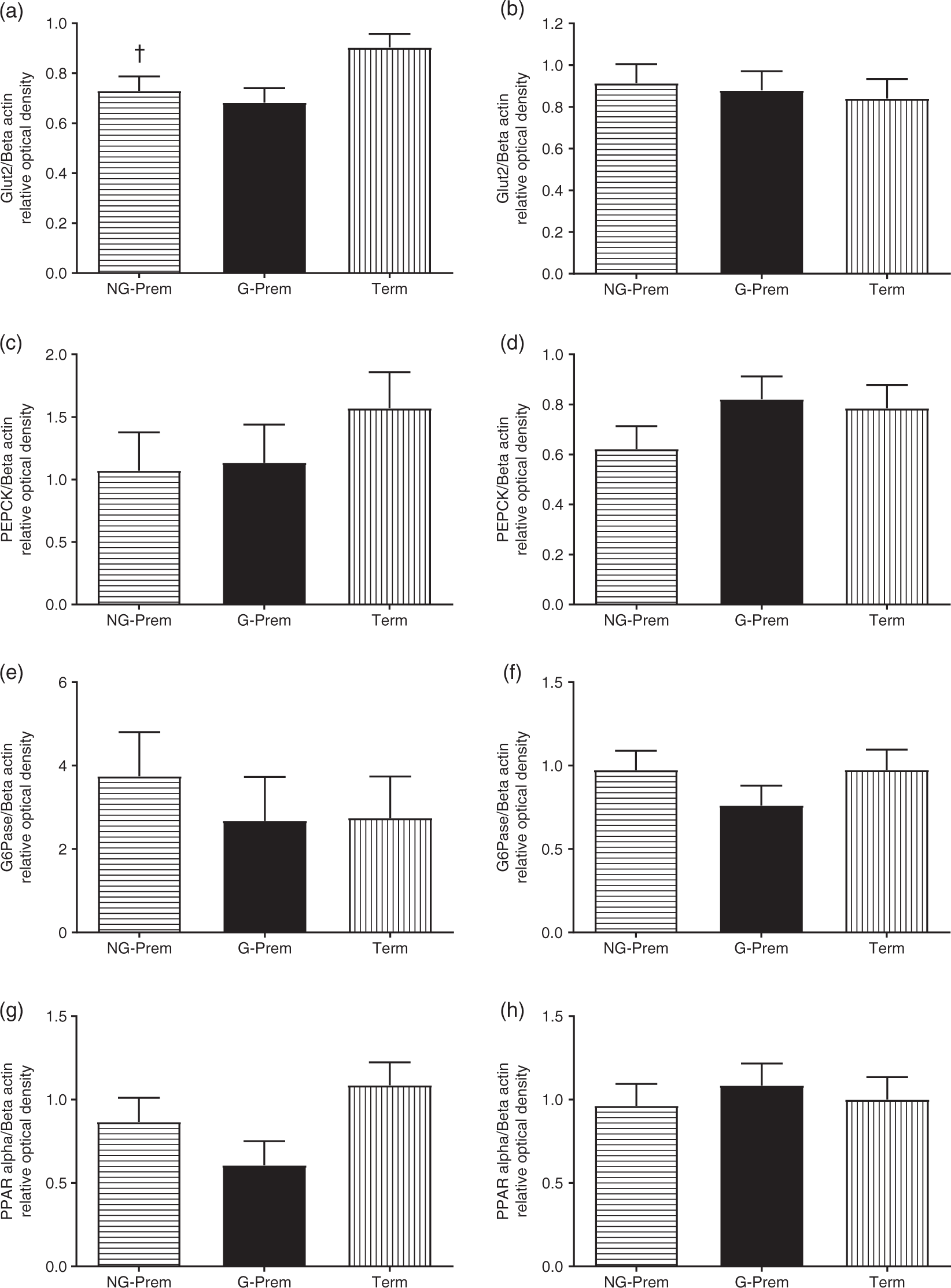 Effects Of Preterm Birth Induced With Or Without Exogenous Glucocorticoids On The Ovine Glucose Insulin Axis Journal Of Developmental Origins Of Health And Disease Cambridge Core