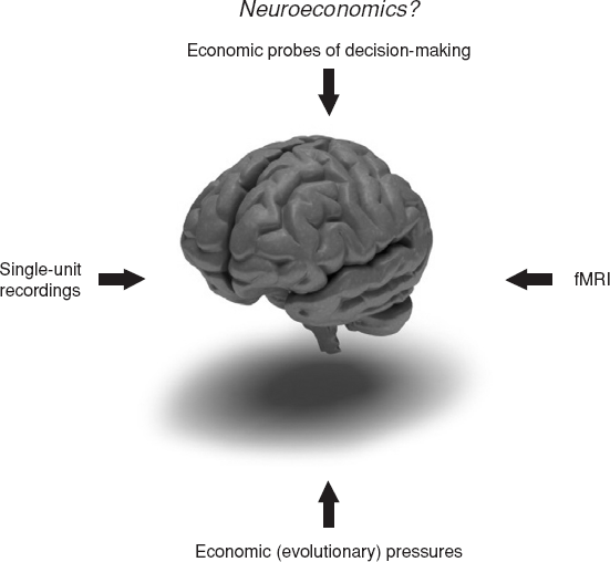 Neuroeconomics: what neuroscience can learn from economics