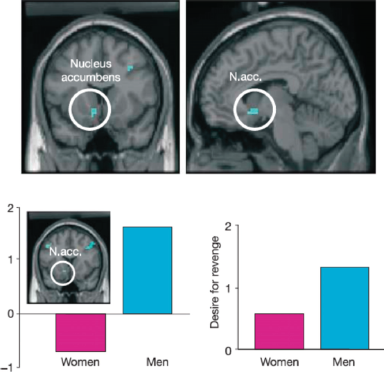 Neuromarketing: I Put Myself into a fMRI Scanner and Realized that I love Louis  Vuitton Ads – topic of research paper in Economics and business. Download  scholarly article PDF and read for