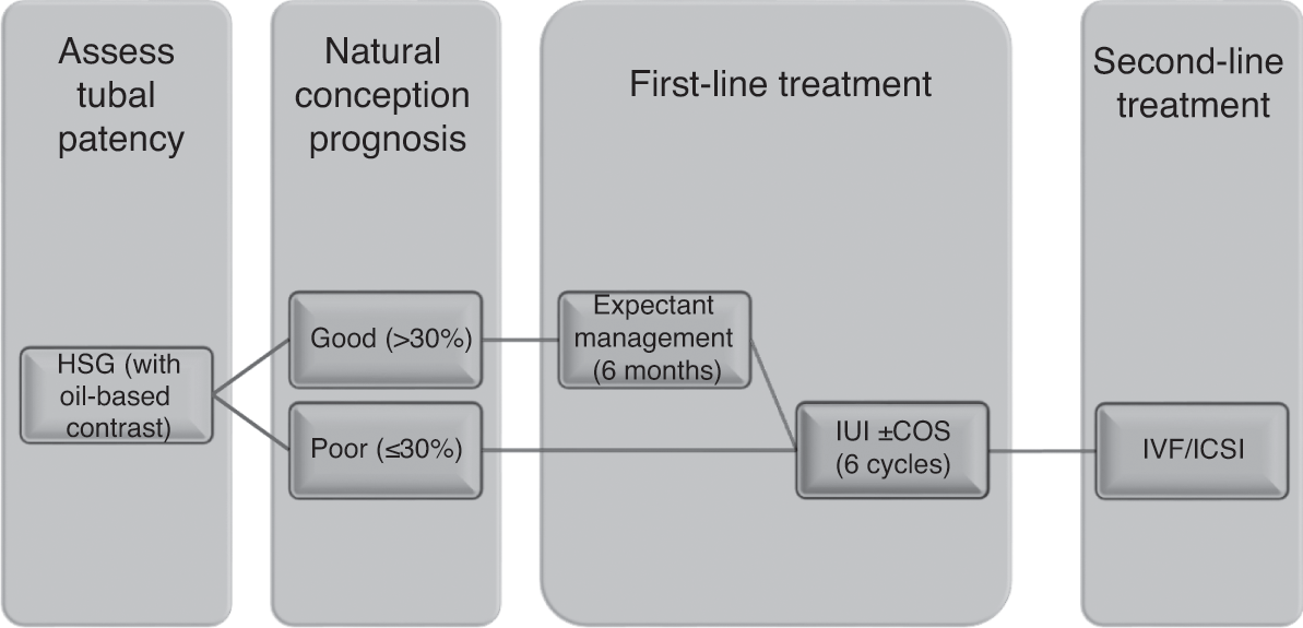 Unexplained Infertility Chapter 6 Reproductive Medicine For The Mrcog