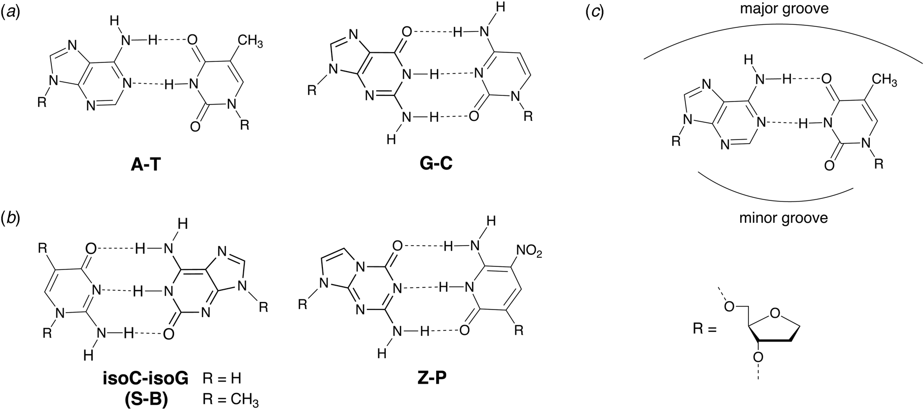 Engineering Polymerases For Applications In Synthetic Biology Quarterly Reviews Of Biophysics Cambridge Core