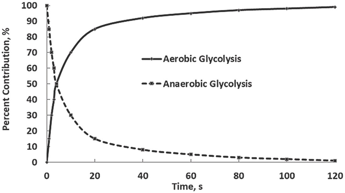 Exergy In Biological Systems Chapter 5 Exergy Analysis For Energy Conversion Systems