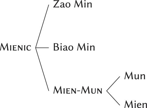 Language Histories and Classifications (Chapter 2) - The Languages 