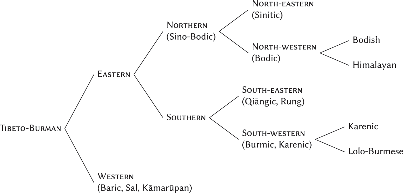pina myanmar language