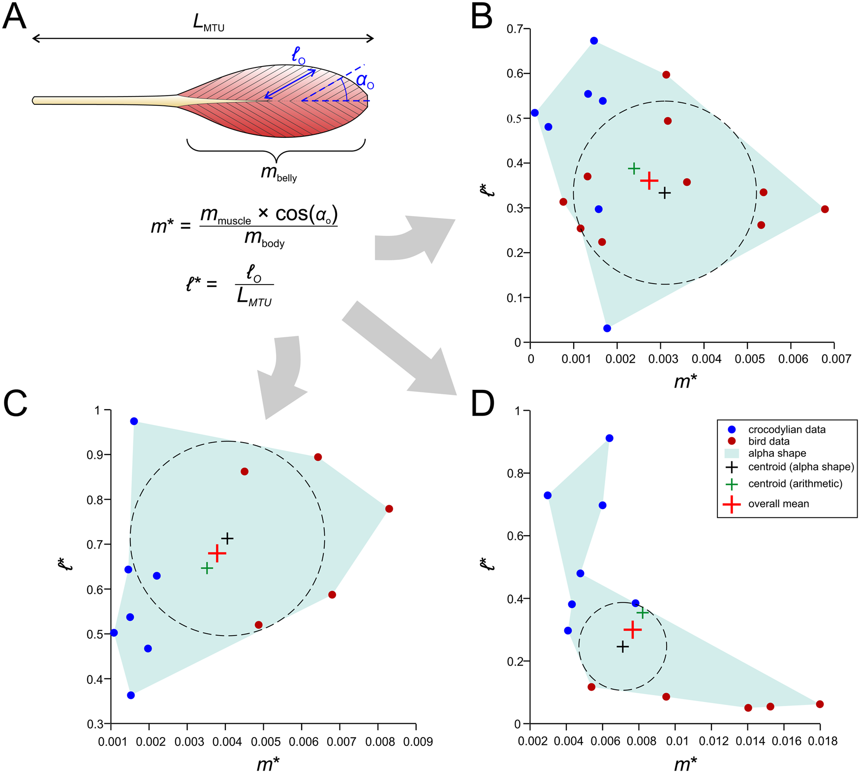 How To Build A Dinosaur Musculoskeletal Modeling And Simulation Of Locomotor Biomechanics In Extinct Animals Paleobiology Cambridge Core