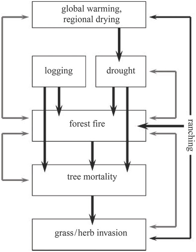 Contemporary Case Studies (Chapter 4) - Ecosystem Collapse and Recovery