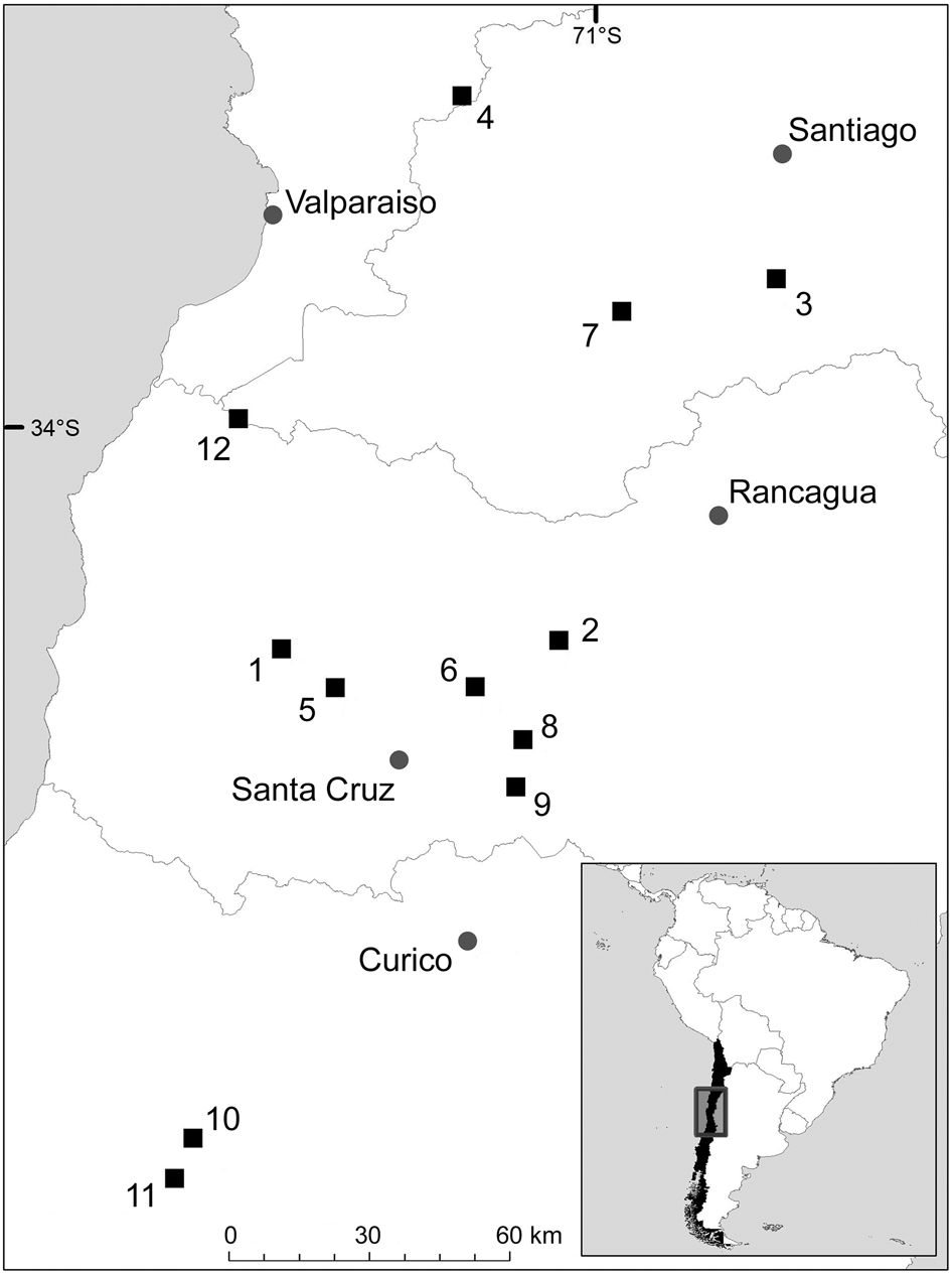 Remnants of native forests support carnivore diversity in the vineyard  landscapes of central Chile | Oryx | Cambridge Core