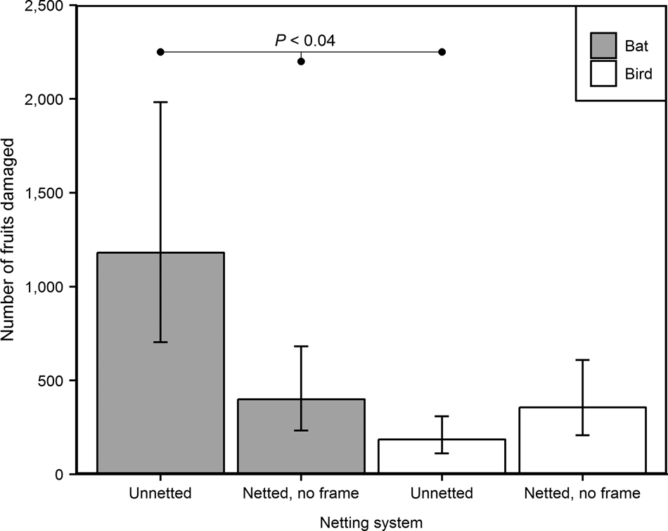 The impact of the Endangered Mauritian flying fox Pteropus niger