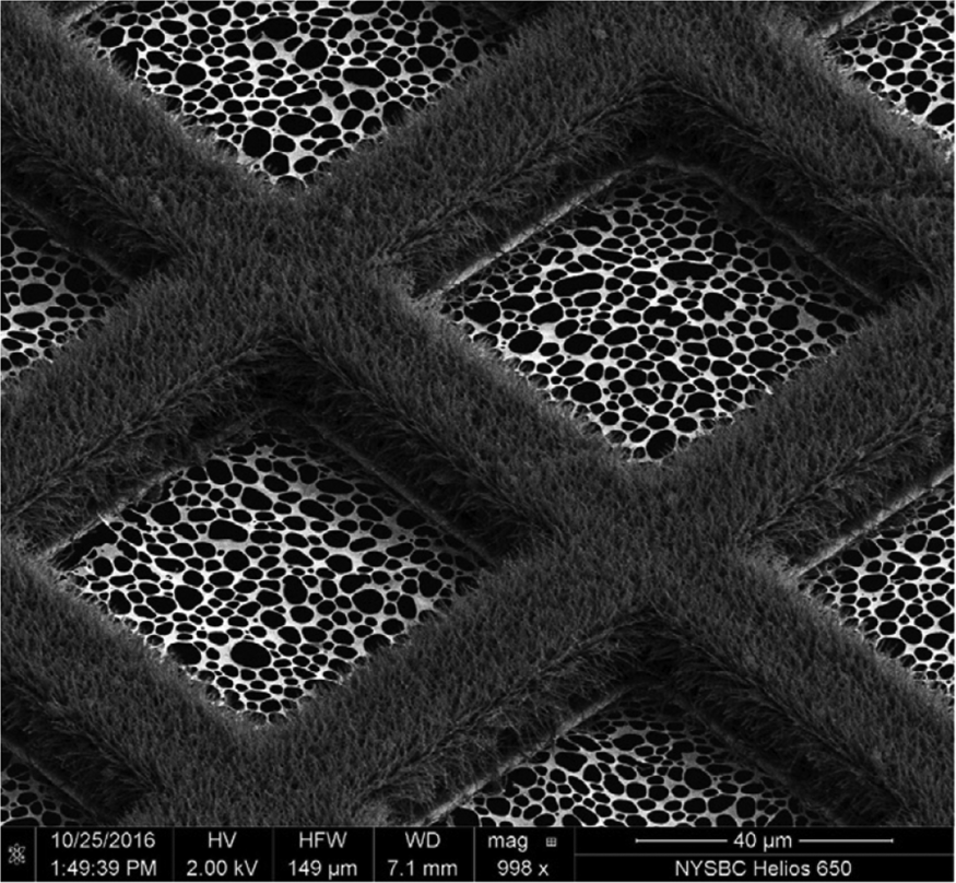 Current Limitations To High Resolution Structure Determination By Single Particle Cryoem Quarterly Reviews Of Biophysics Cambridge Core