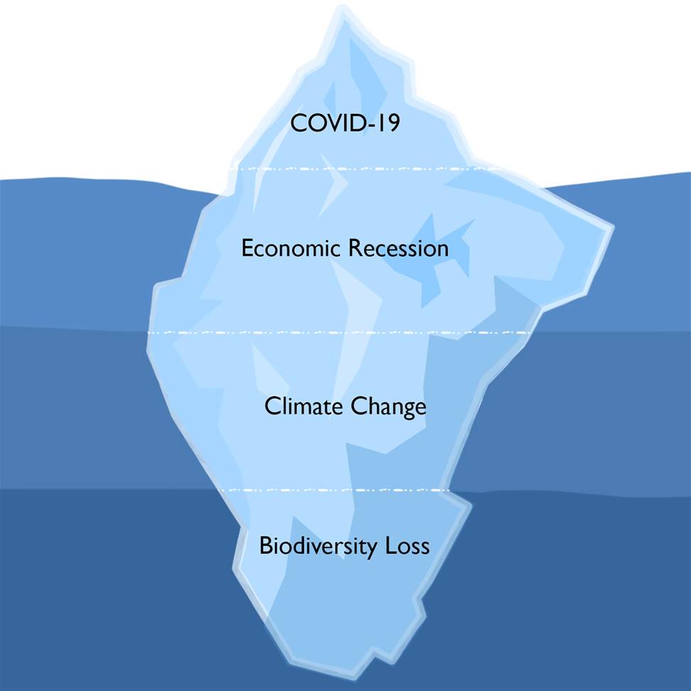 Implications Of COVID-19 On Progress In The UN Conventions On ...