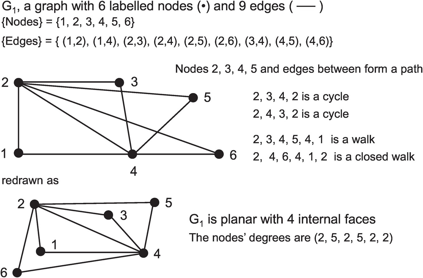 Glossary Quantitative Analysis Of Ecological Networks<script async src=