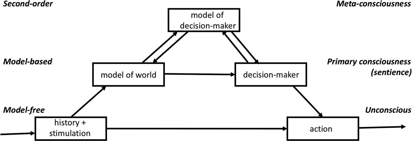 The Neural Basis Of Consciousness Psychological Medicine Cambridge Core