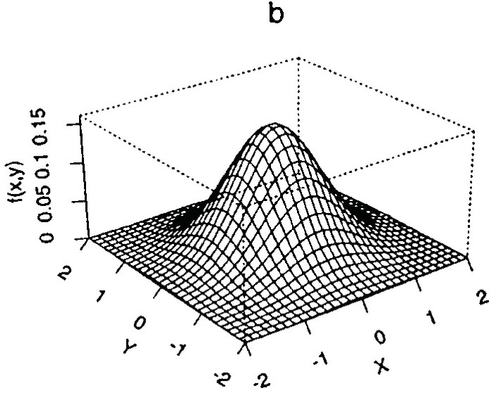 The World's Simplest Theorem Shows That 8,000 People Globally Have the Same  Number of Hairs on Their Head