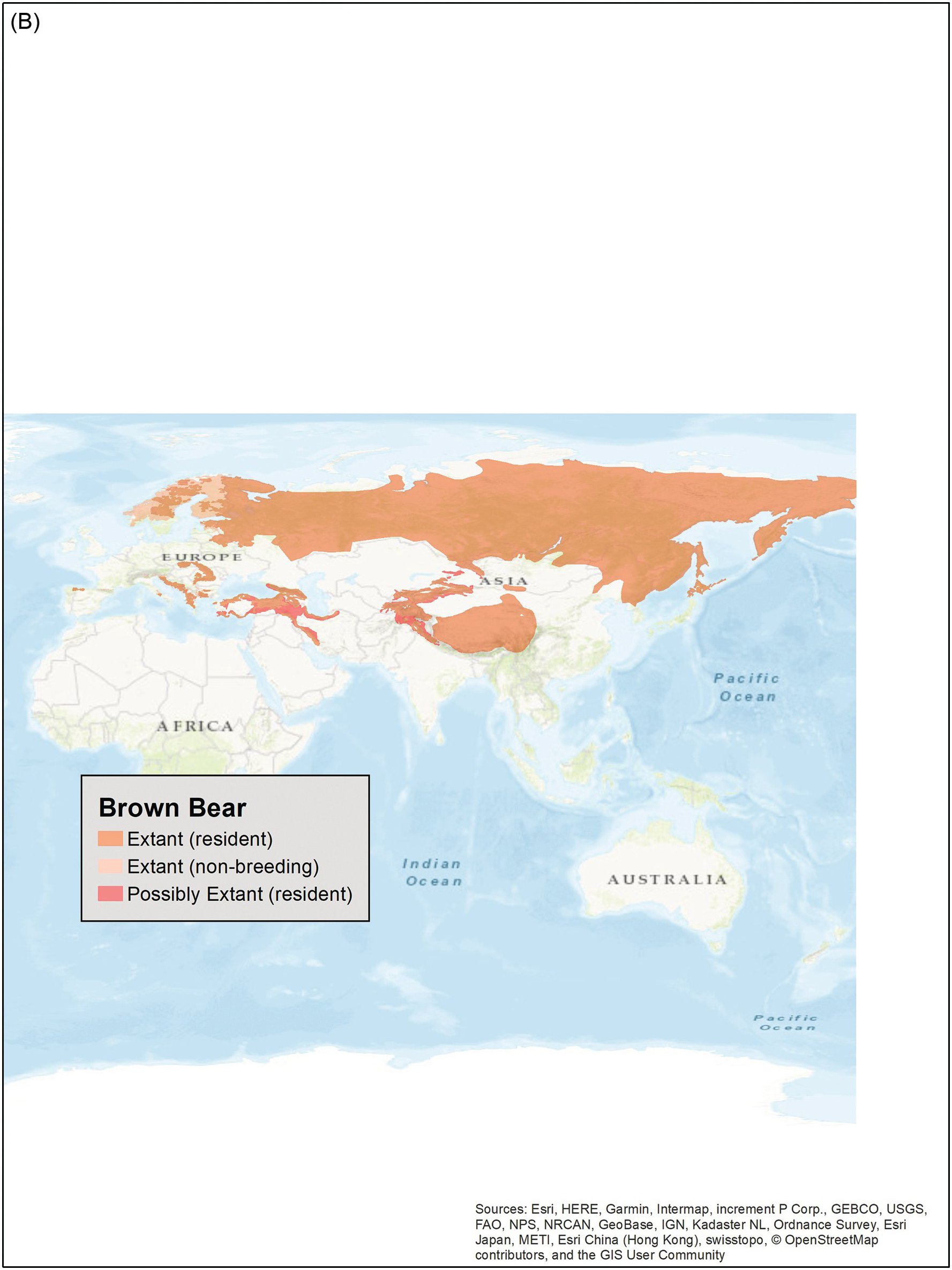 Conservation and ManagementConservation and Management (Part IV) - Bears of  the World