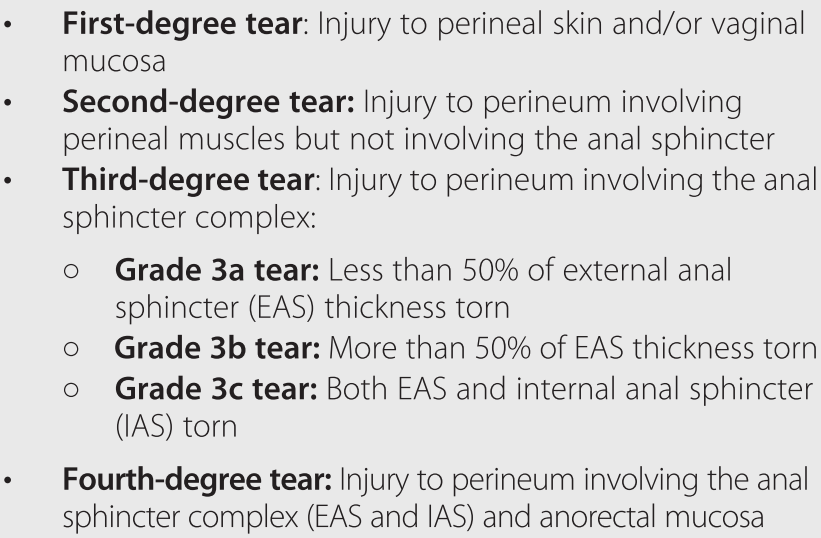 Perineal Trauma Chapter 21 Obstetric And Intrapartum Emergencies