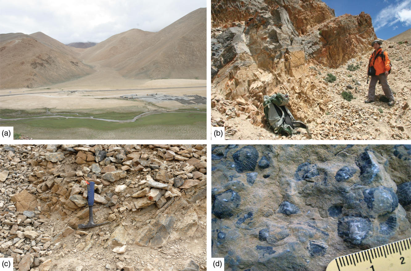 Middle Ordovician (Darriwilian) conodonts from southern Tibet, the 