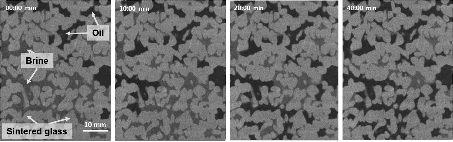 The First Dynamic Micro-CT System to Deliver Sub-Micron 3D Imaging