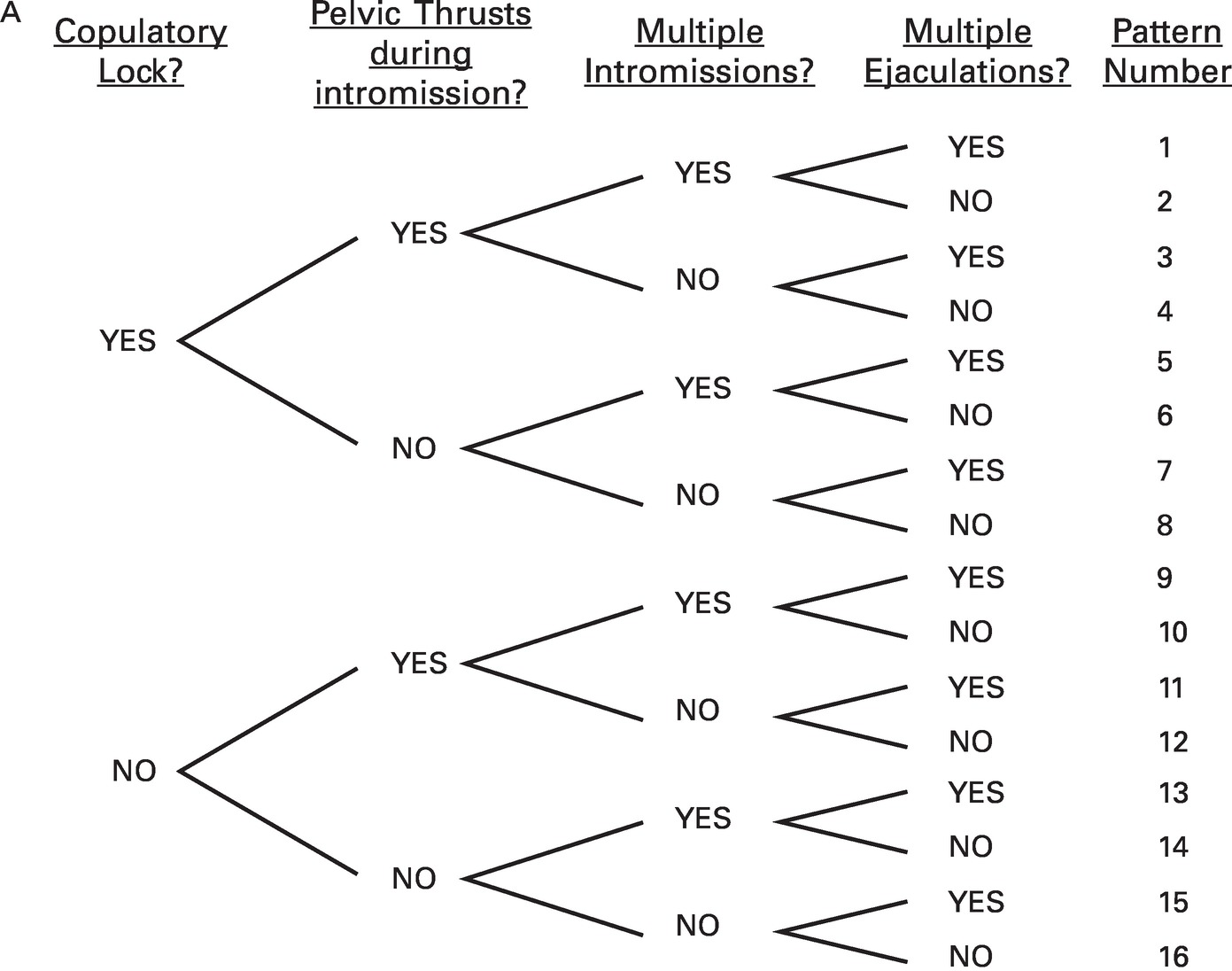 The Act of Mating Part II Mammalian Sexuality