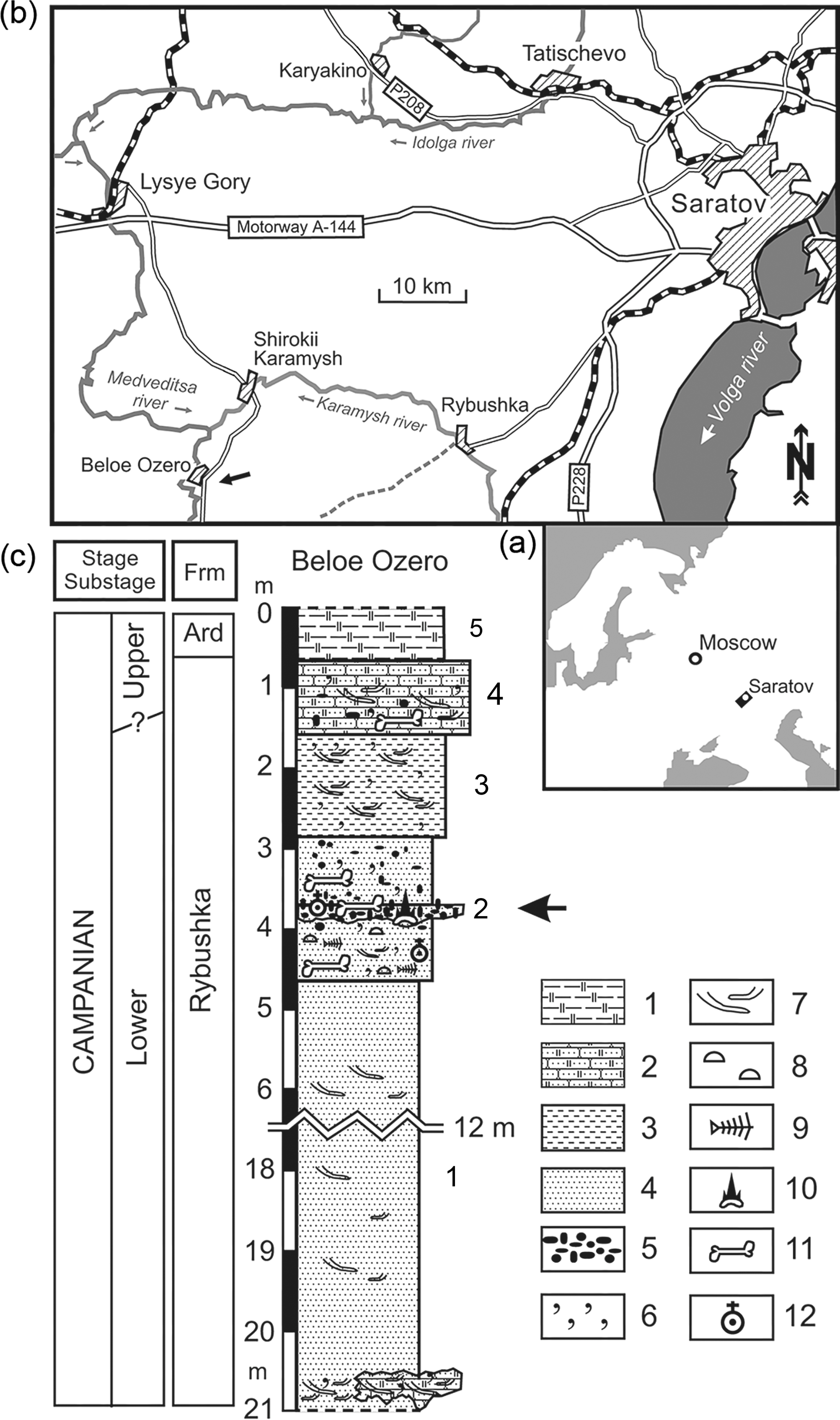 PDF] Comments on the Pteranodontidae (Pterosauria, Pterodactyloidea) with  the description of two new species.