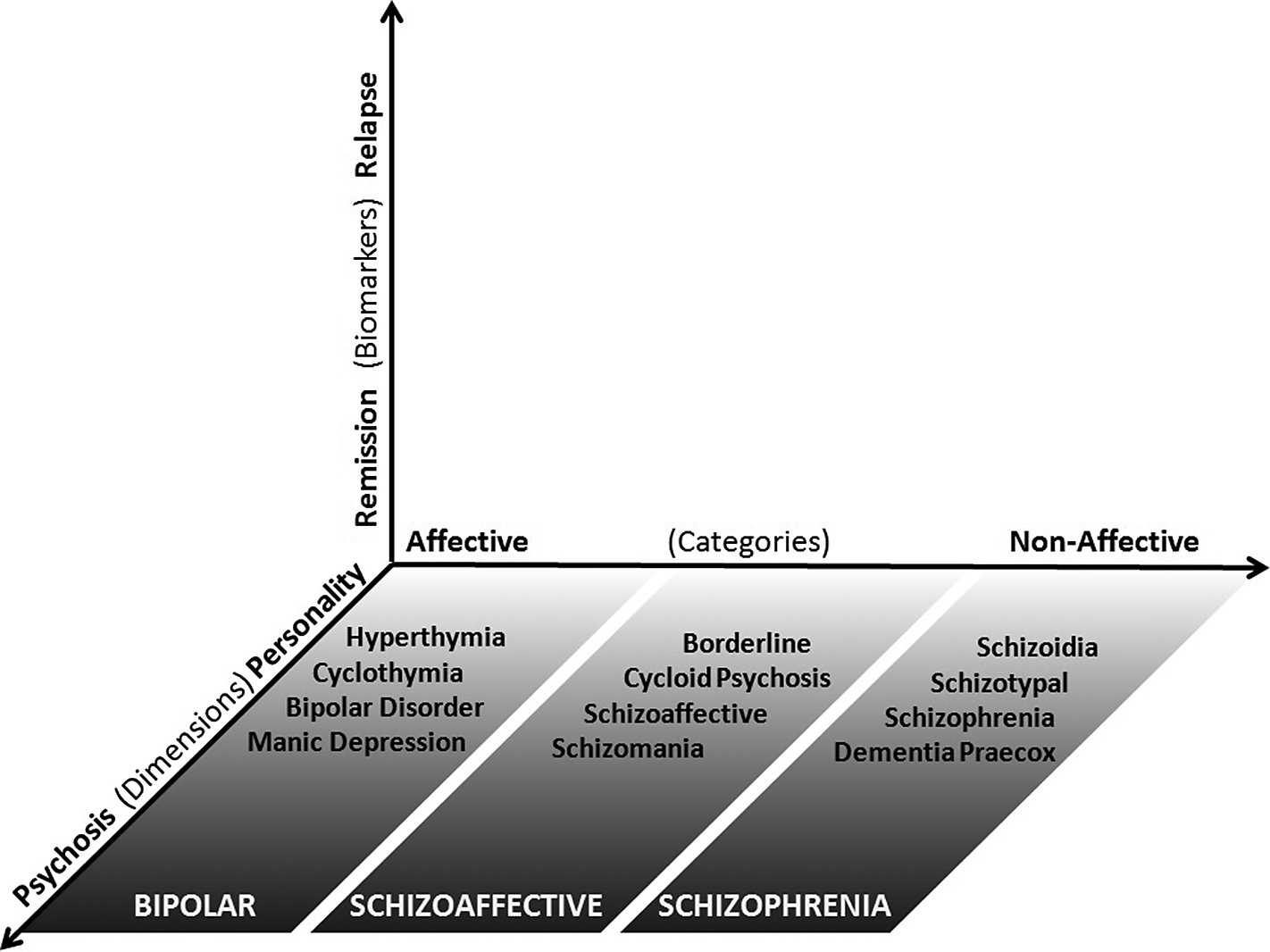 Schizoaffective Disorder Bipolar Type