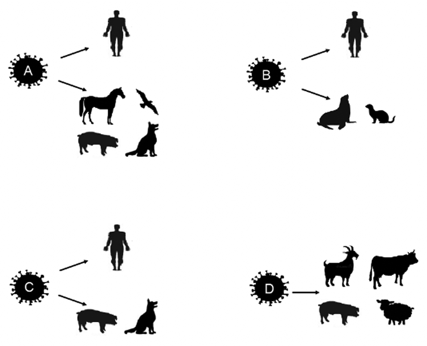 Equine Influenza A Comprehensive Review From Etiology To Treatment Animal Health Research Reviews Cambridge Core