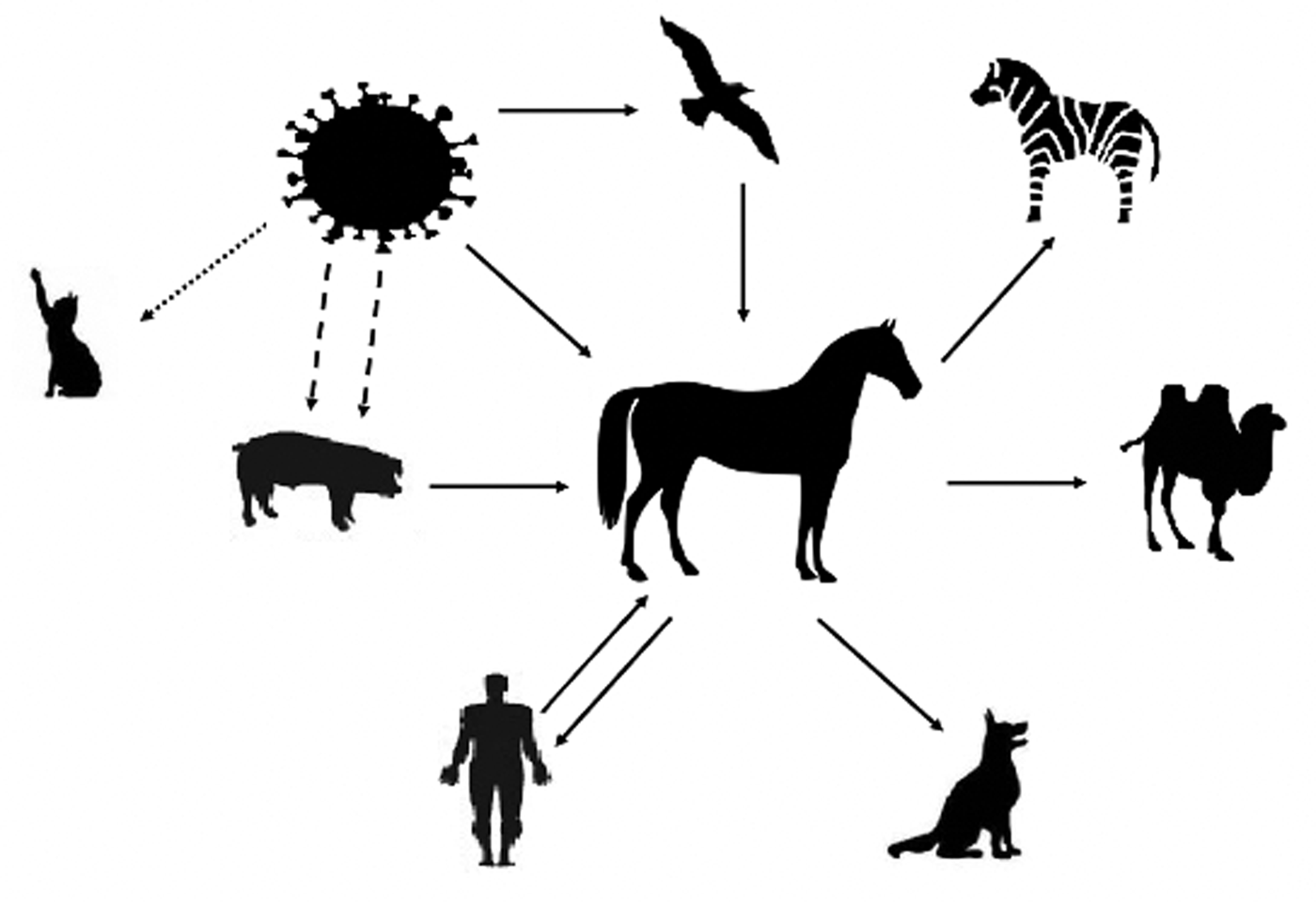 Equine Influenza A Comprehensive Review From Etiology To Treatment Animal Health Research Reviews Cambridge Core