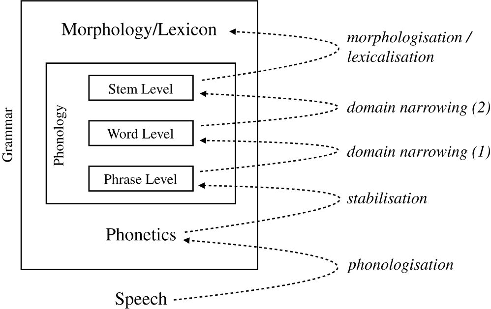 Insertion And Deletion In Northern English Ng Interacting Innovations In The Life Cycle Of