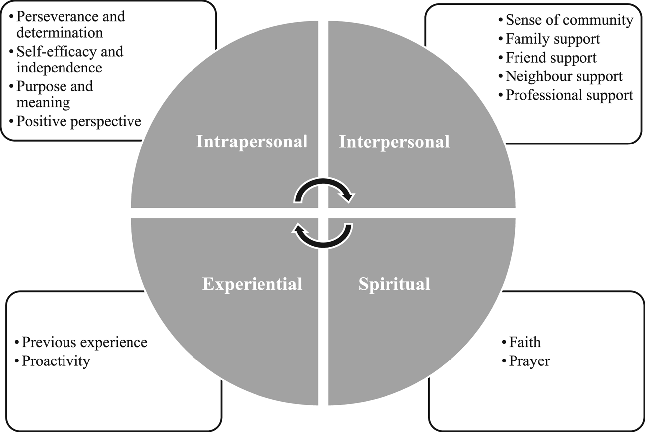 Developing A Model Of Resilience In Older Adulthood: A Qualitative Meta ...