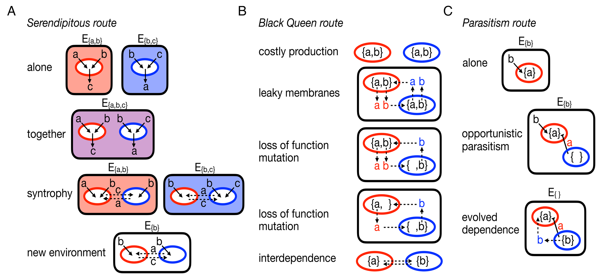 Lichens and microbial syntrophies offer models for an interdependent ...