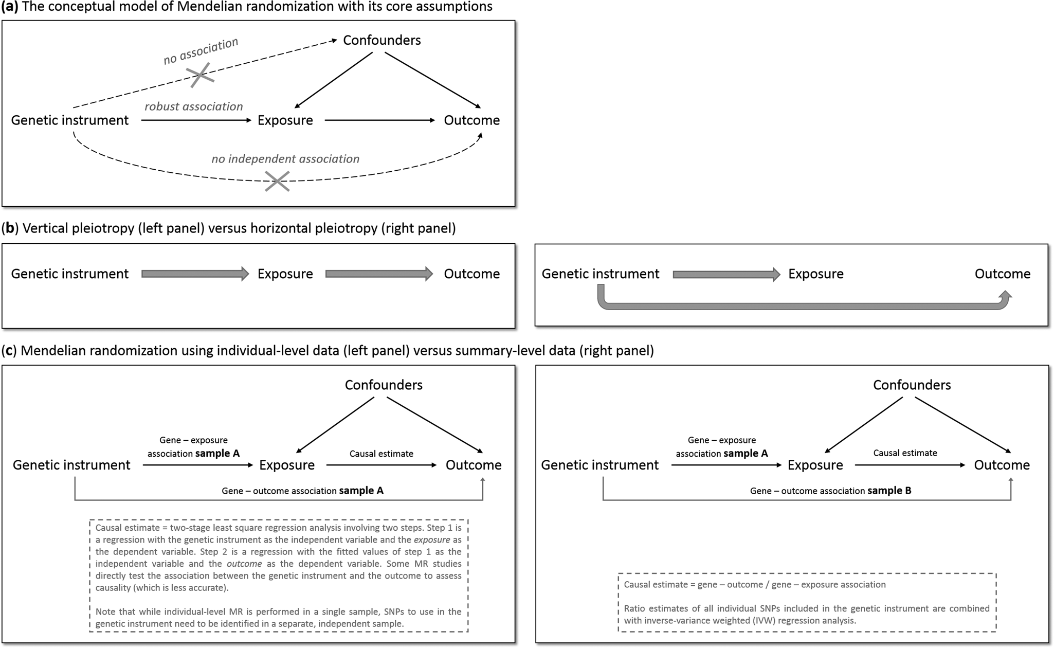 using-mendelian-randomization-analysis-to-better-understand-the