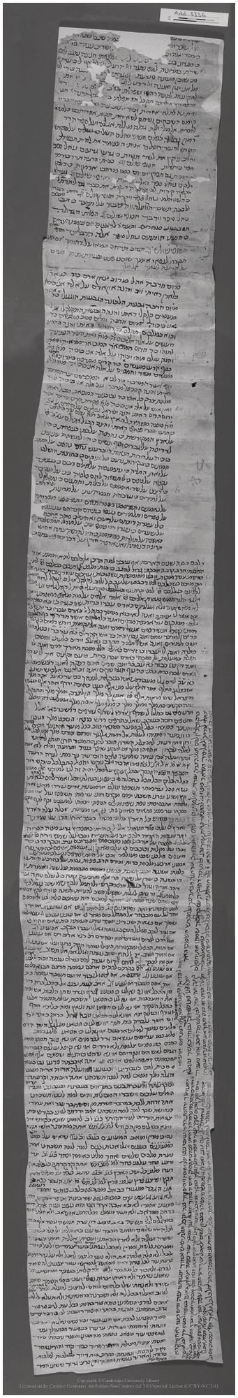 The Journey of Archbishop Samuel and the Dead Sea Scrolls - Guideposts