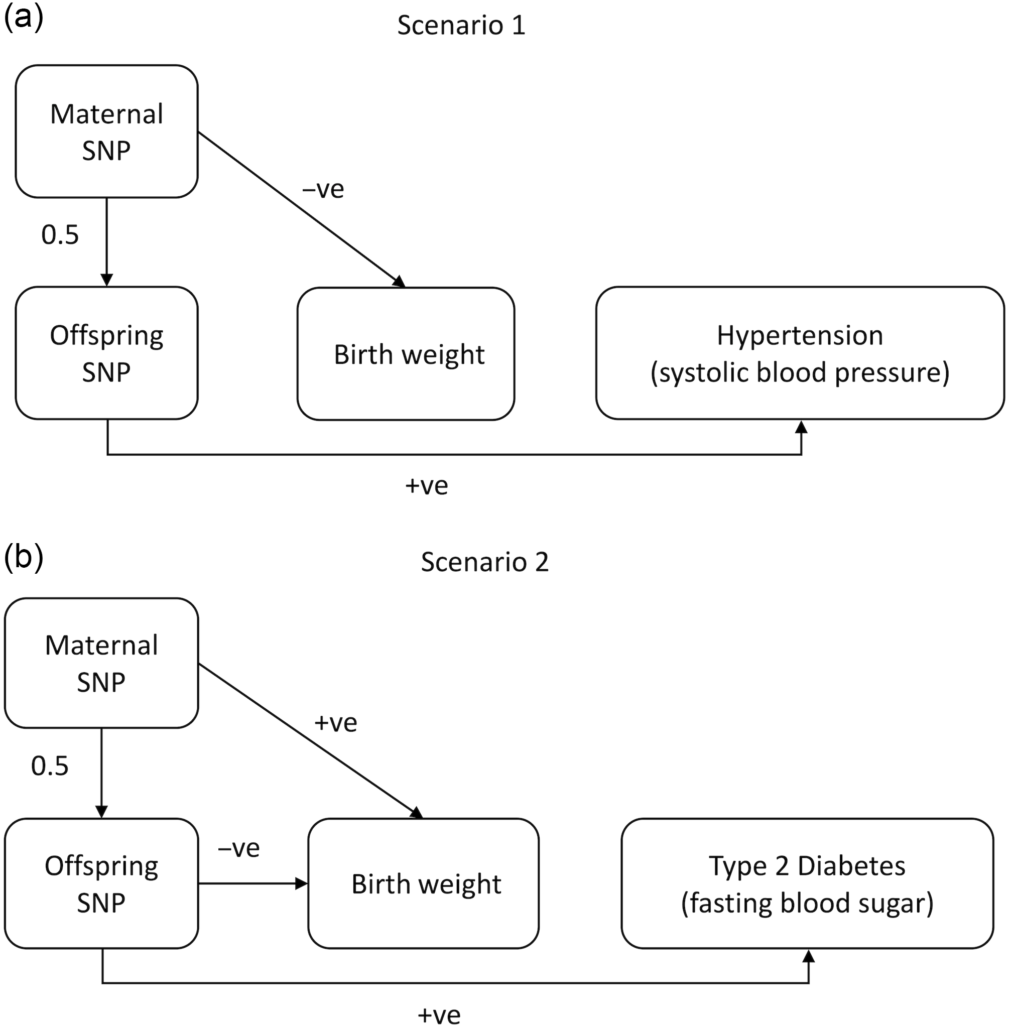 A cautionary note on using Mendelian randomization to examine the