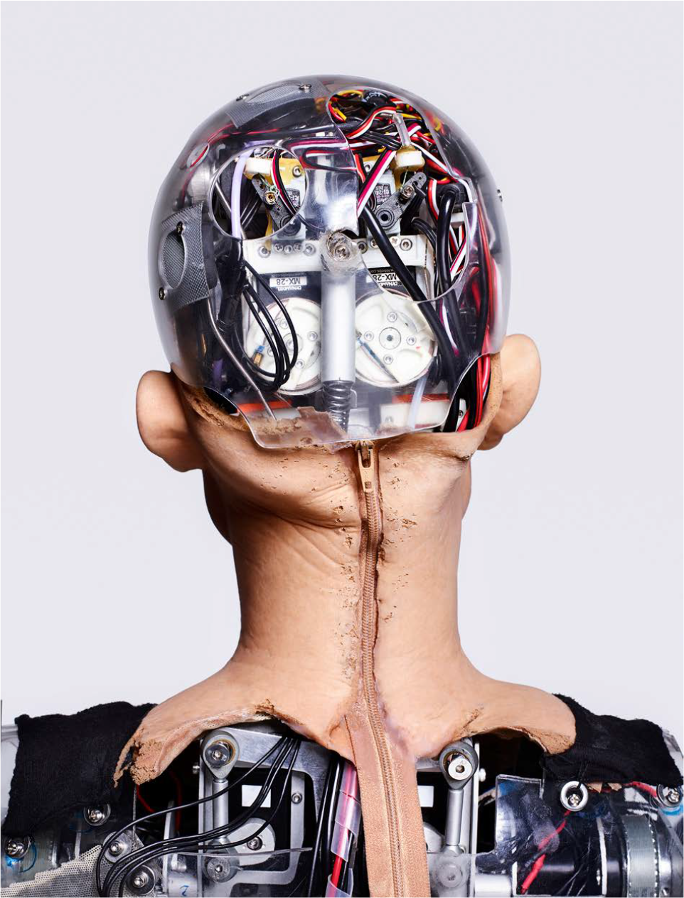 David Hanson【Sophia IA Robot Creator】Thinking Heads