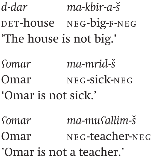 Arabic Variation And Sociolinguistics Part Ii The Cambridge Handbook Of Arabic Linguistics
