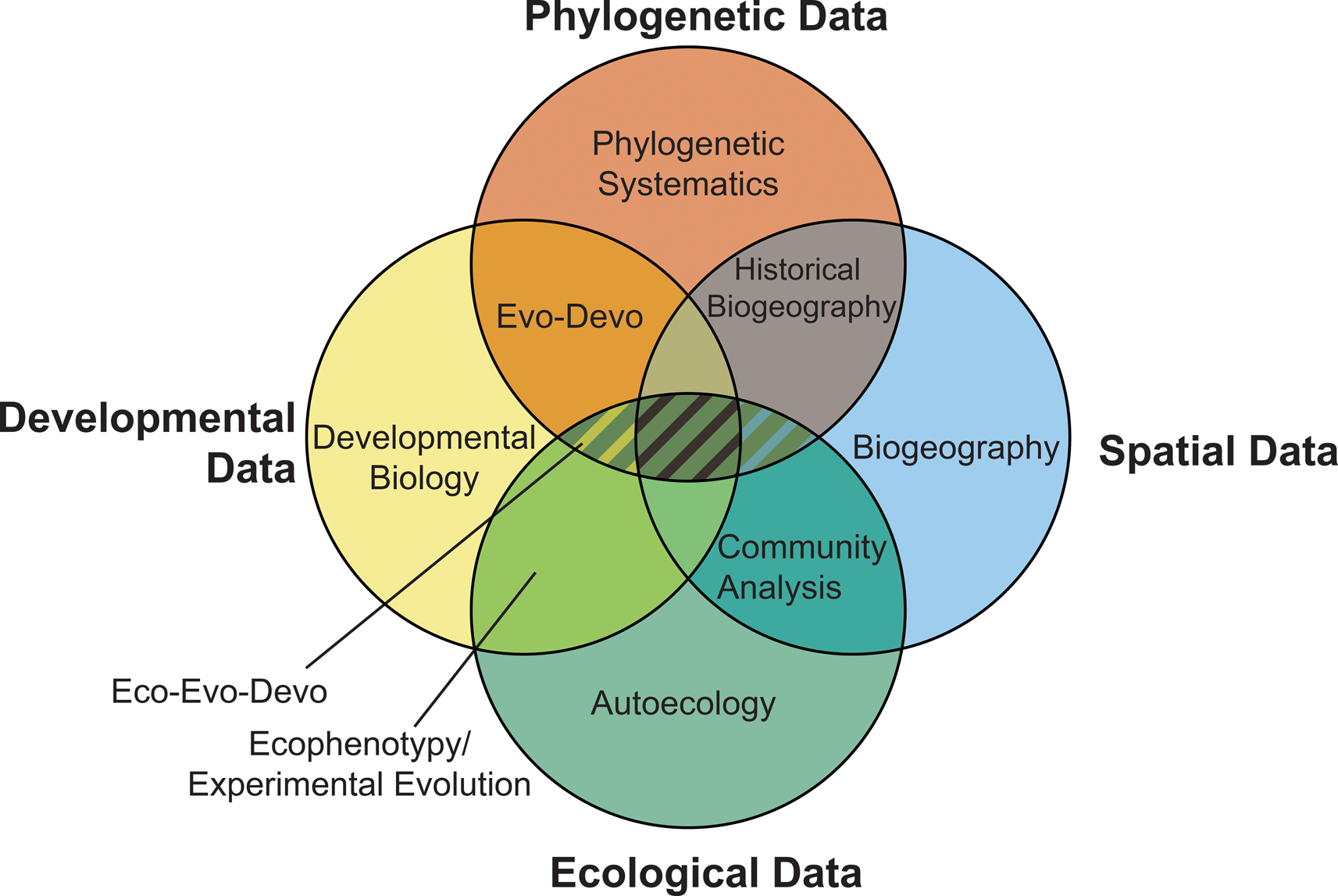 Integrating paleoecology and phylogeography reveals congruent