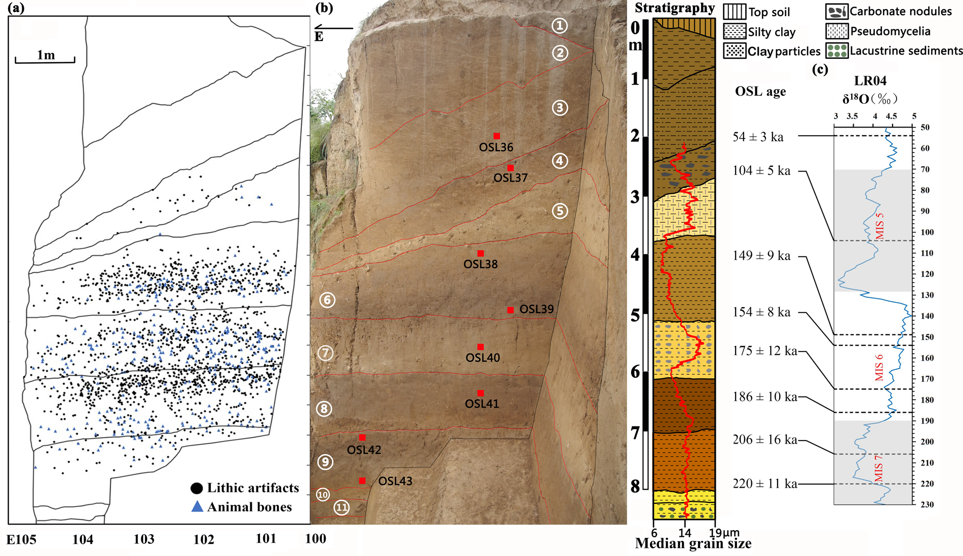 Lithic technological responses to environmental change during the 
