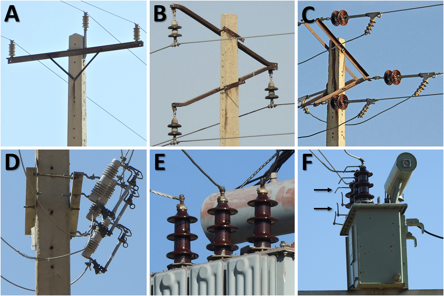 Electrical Components Involved in Avian Caused Outages in Iran