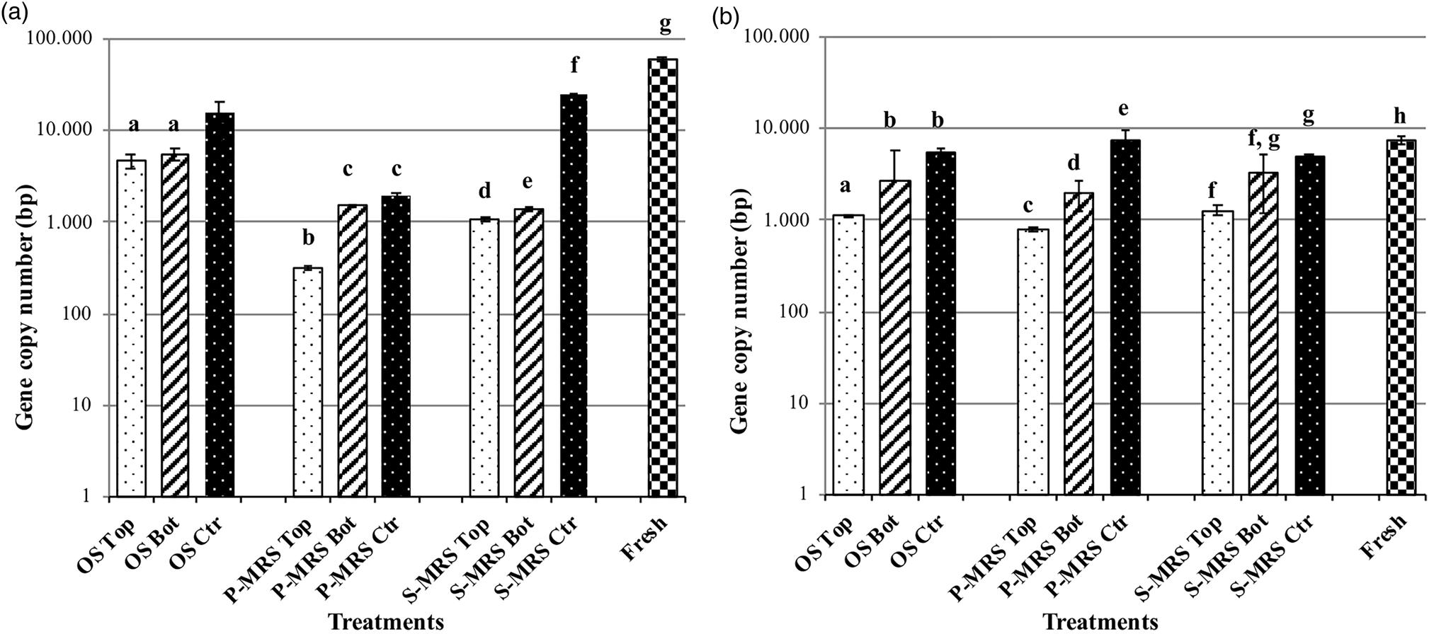 Fungal biomarkers are detectable in Martian rock-analogues after space  exposure: implications for the search of life on Mars, International  Journal of Astrobiology