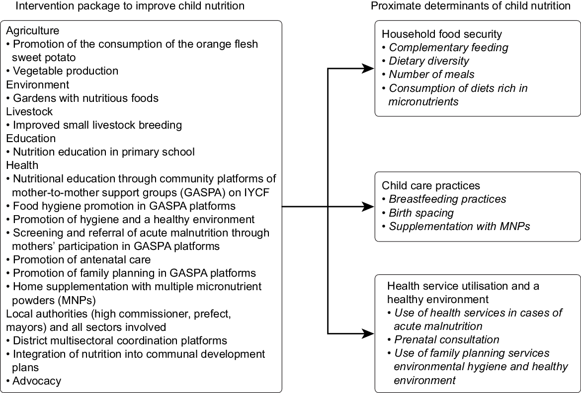 Facilitating factors and challenges of the implementation of ...