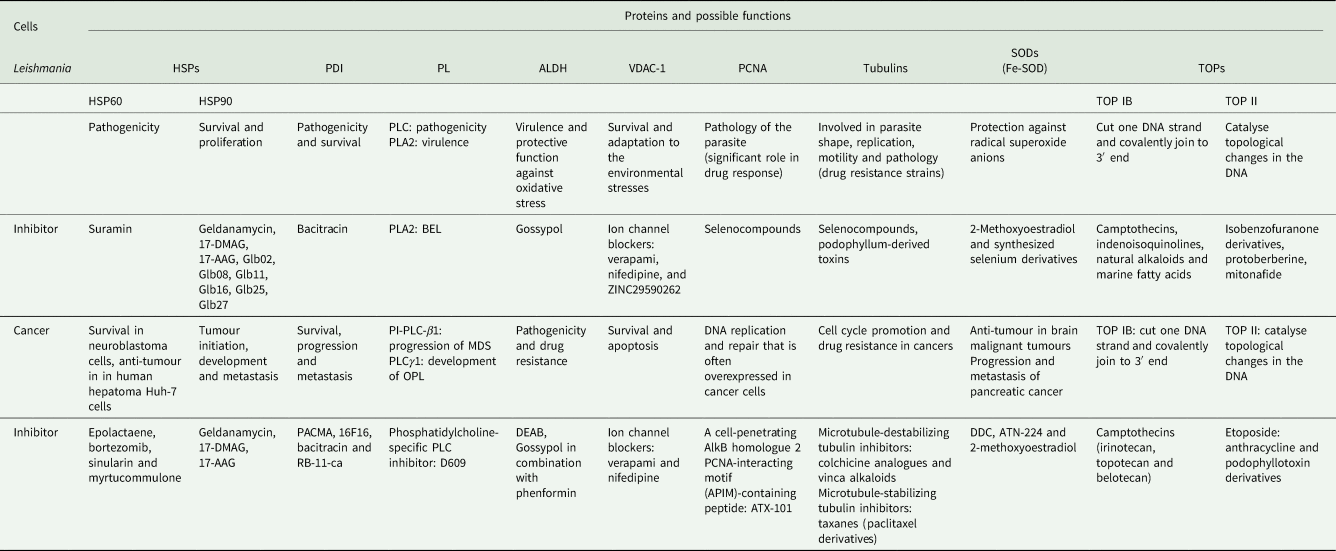 Potential Therapeutic Targets Shared Between Leishmaniasis And Cancer Parasitology Cambridge Core