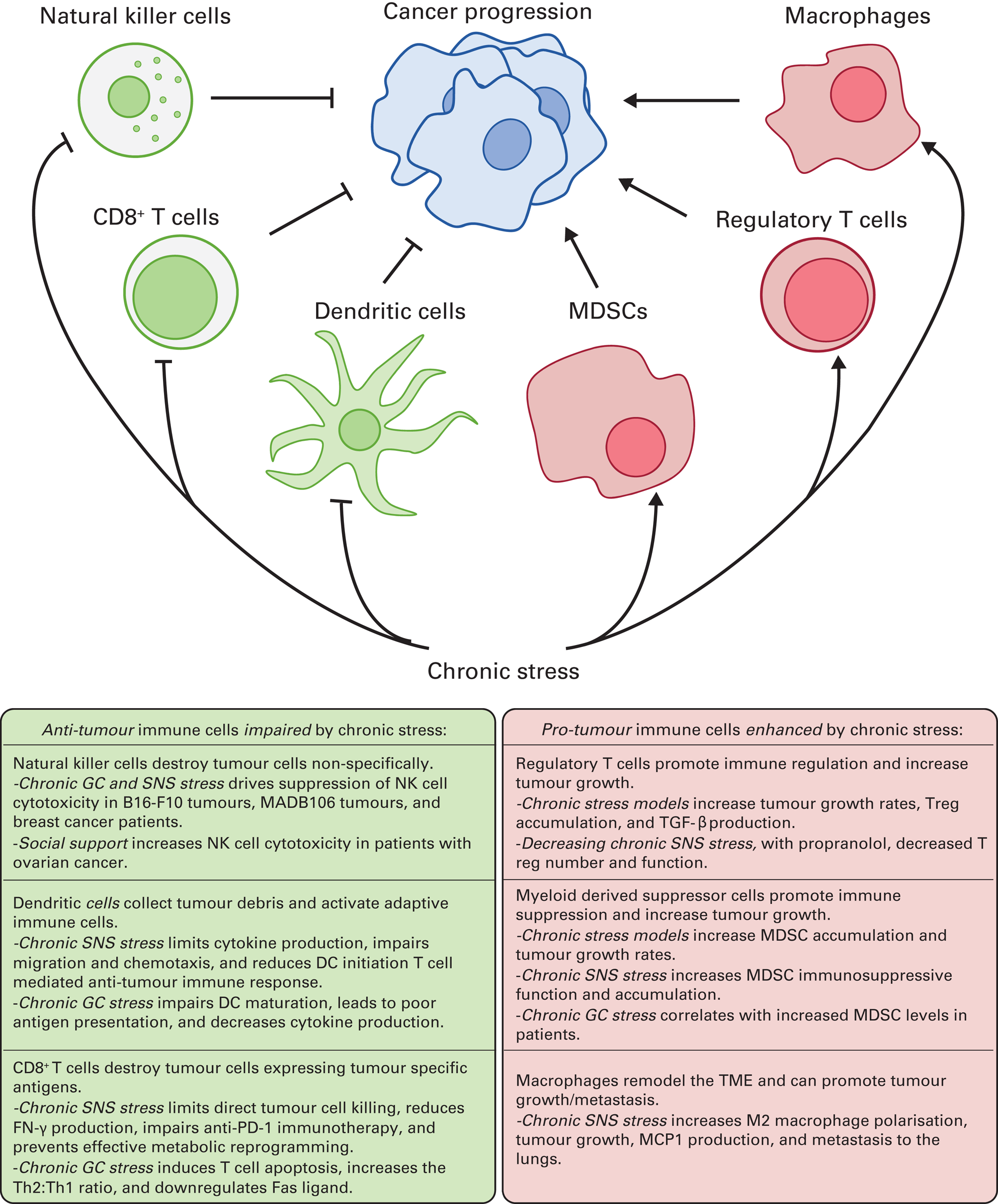 Psychosocial stress and immunosuppression in cancer: what can we learn ...